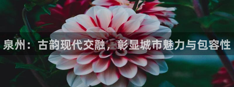 泉州：古韵现代交融，彰显城市魅力与包容性