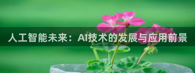 人工智能未来：AI技术的发展与应用前景