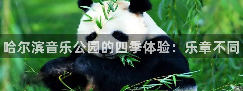 哈尔滨音乐公园的四季体验：乐章不同