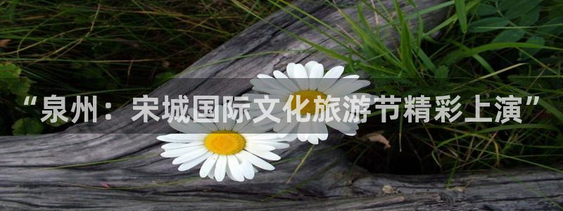 “泉州：宋城国际文化旅游节精彩上演”