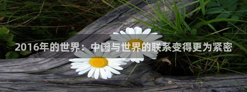 2016年的世界：中国与世界的联系变得更为紧密