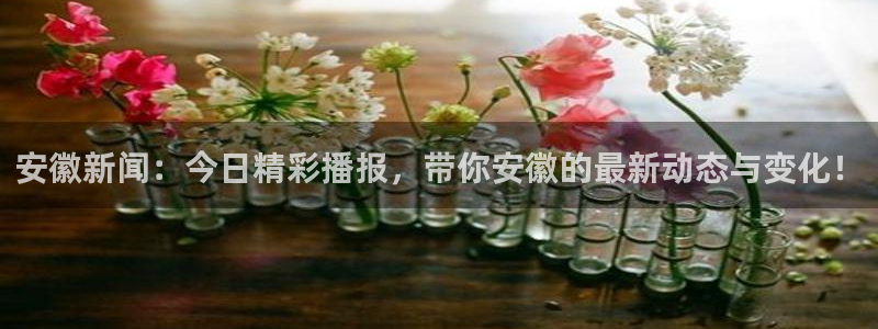 安徽新闻：今日精彩播报，带你安徽的最新动态与变化！