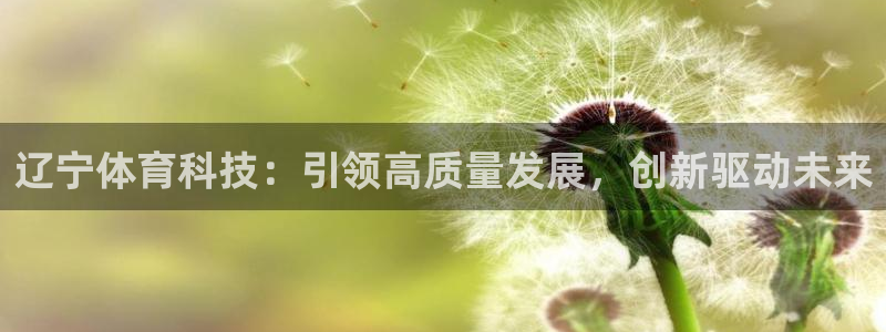 辽宁体育科技：引领高质量发展，创新驱动未来