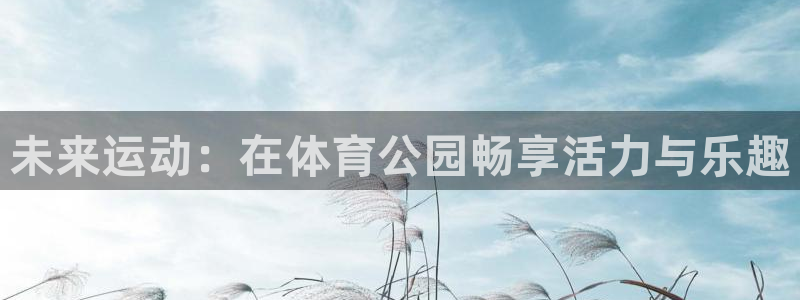 未来运动：在体育公园畅享活力与乐趣