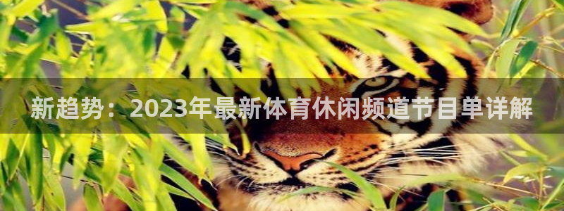 新趋势：2023年最新体育休闲频道节目单详解