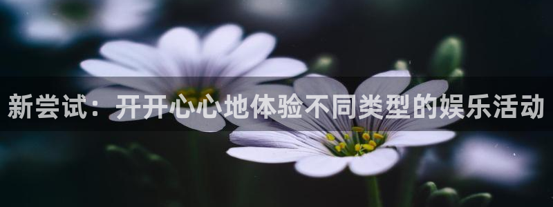新尝试：开开心心地体验不同类型的娱乐活动