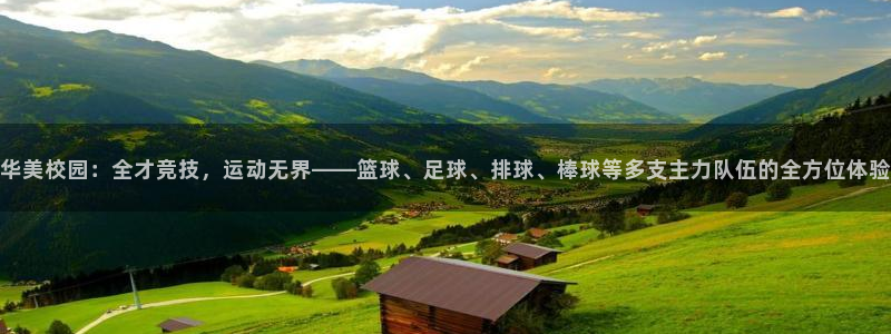 华美校园：全才竞技，运动无界——篮球、足球、排球、棒球等多支主力队伍的全方位体验