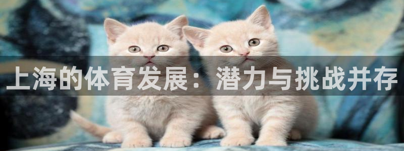 上海的体育发展：潜力与挑战并存